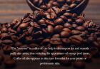 Sadoer Coffee Soothing Hand Cream - 30g