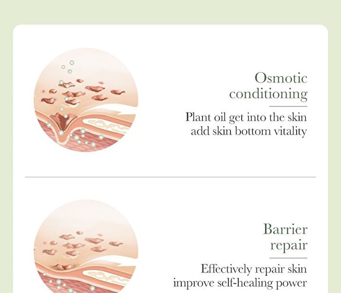 Sadoer Organic Avocado Anti-Wrinkle Serum - 30ml