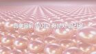 Italia Low Molecular Collagen 1000 - 1g x 30 sticks