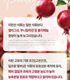 Secret Red Pomegranate 2000 - 2g x 30 sticks