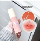 Butterfly Pact Series Mirror Lip Gloss - 6 Colors - 03# Peach Jelly - 2g