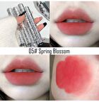Embossed Butterfly Velvet Lip Mud - 6 Colors - 05# Spring Blossom - 2g