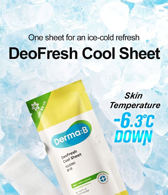 DeoFresh Cool Sheet Set - 24g x 5 sheets