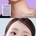 No Glue Lash - 5 Types - Veil