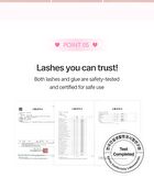 No Glue Lash - 5 Types - Eve