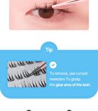 No Glue Lash - 5 Types - Eve