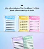 No Glue Lash - 5 Types - Eve