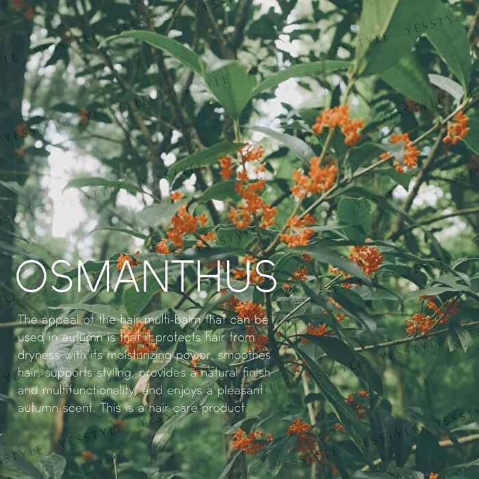 essential balm NO.2 Osmanthus - 45g