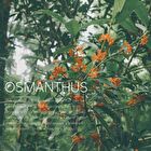 essential balm NO.2 Osmanthus - 45g
