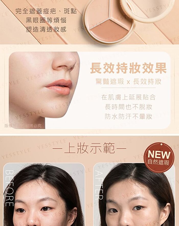 Professional Makeup Concealer Palette - 7.8g