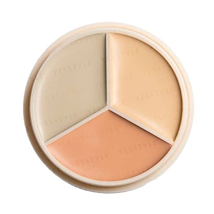 Professional Makeup Concealer Palette - 7.8g