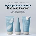 Hyssop Sebum Control Rice Cake Cleanser - 150g