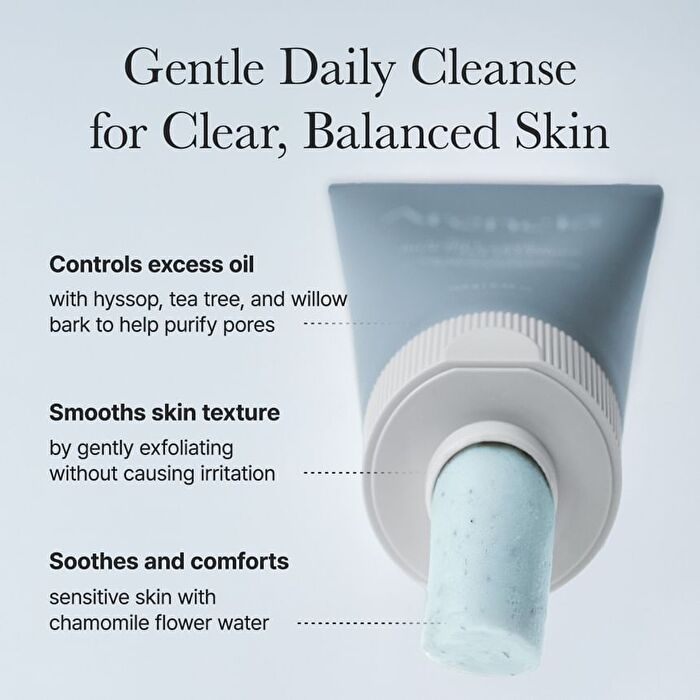 Hyssop Sebum Control Rice Cake Cleanser - 150g