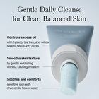 Hyssop Sebum Control Rice Cake Cleanser - 150g