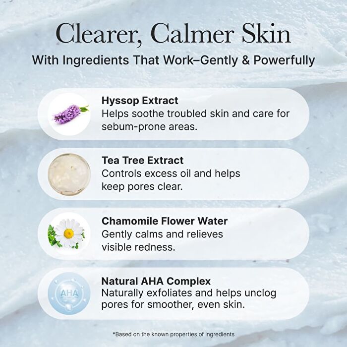 Hyssop Sebum Control Rice Cake Cleanser - 150g