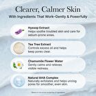 Hyssop Sebum Control Rice Cake Cleanser - 150g