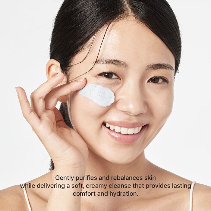 Hyssop Sebum Control Rice Cake Cleanser - 150g