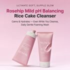 Rosehip Mild pH Balancing Rice Cake Cleanser - 150g