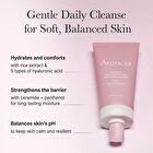Rosehip Mild pH Balancing Rice Cake Cleanser - 150g