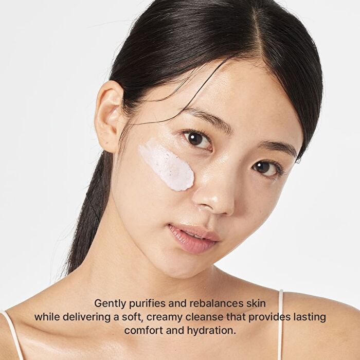 Rosehip Mild pH Balancing Rice Cake Cleanser - 150g