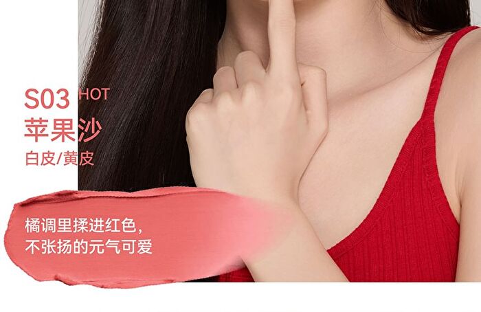 Aztk Sherbet Lip Mud - 5 Colors - S05# Red Brown - 4.5g