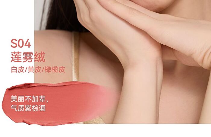 Aztk Sherbet Lip Mud - 5 Colors - S05# Red Brown - 4.5g