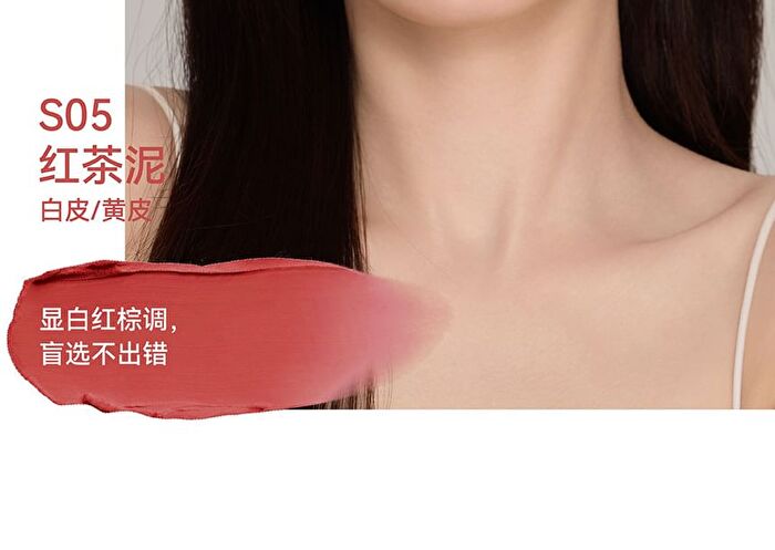 Aztk Sherbet Lip Mud - 5 Colors - S05# Red Brown - 4.5g