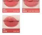 Aztk Sherbet Lip Mud - 5 Colors - S05# Red Brown - 4.5g