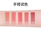 Aztk Sherbet Lip Mud - 5 Colors - S05# Red Brown - 4.5g