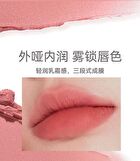 Aztk Sherbet Lip Mud - 5 Colors - S05# Red Brown - 4.5g