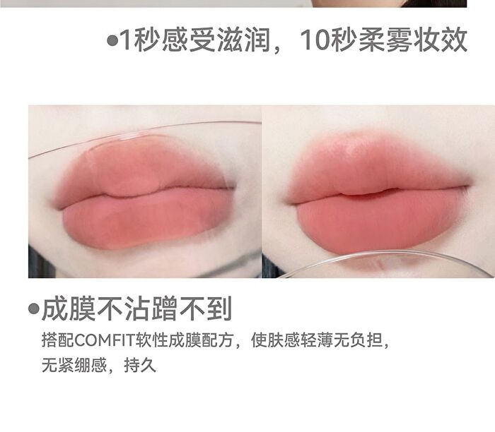 Aztk Sherbet Lip Mud - 5 Colors - S05# Red Brown - 4.5g