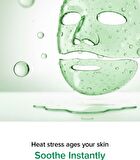 Vegan Collagen Fresh Aloe Mask Set - 30g x 4 sheets