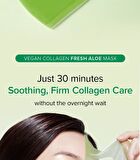 Vegan Collagen Fresh Aloe Mask Set - 30g x 4 sheets