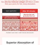 Vegan Collagen Red Ginseng Mask Set - 30g x 4 sheets