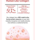 Vegan Collagen Red Ginseng Mask - 30g x 1 sheet