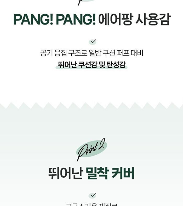 Cushion Pang Pang Puff Set - 2025 Version - 2 pcs