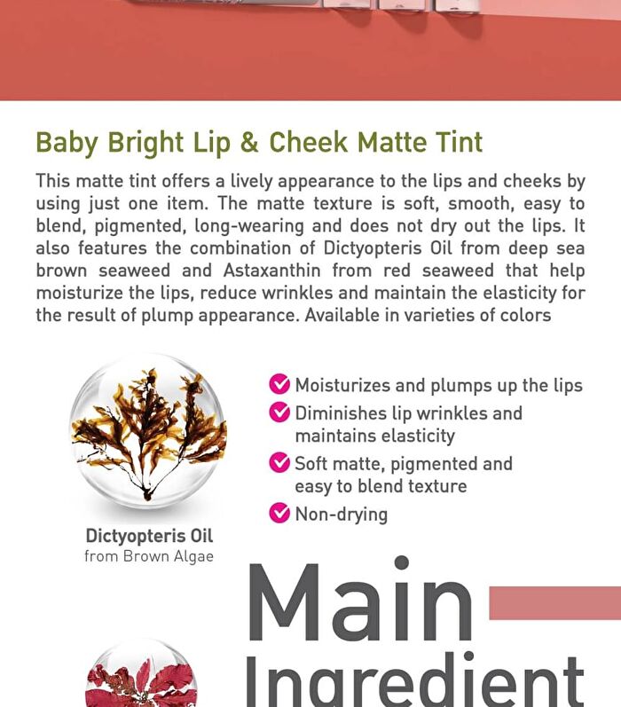 Lip & Cheek Matte Tint - 14 Paprika