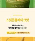 Protein Shake - 10 Types - 2025 Version - Mint Chocolate