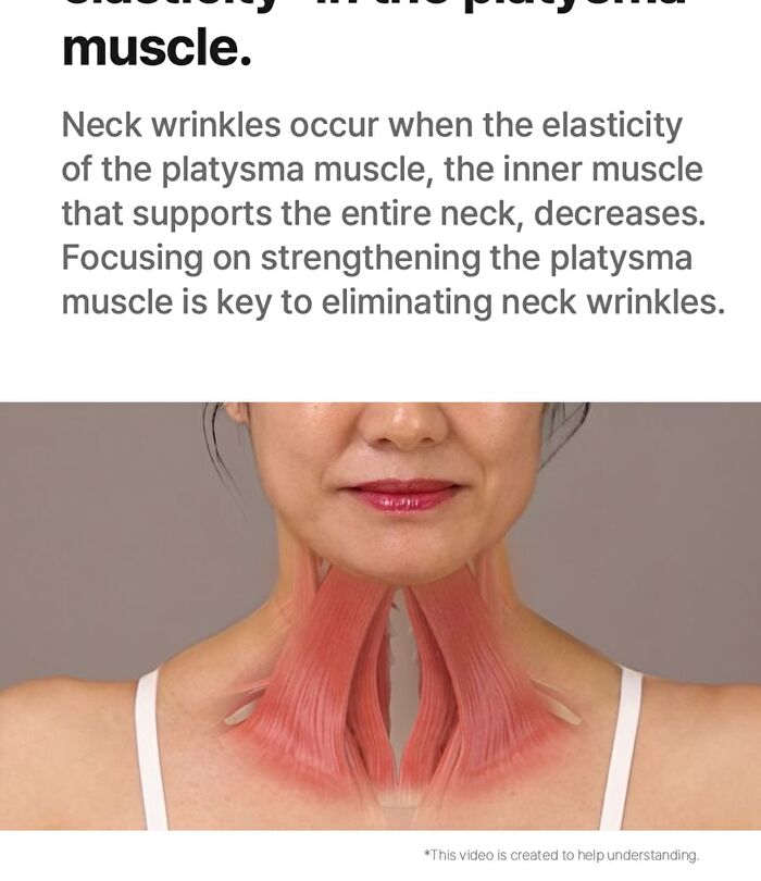 Neckcera - 1 Set