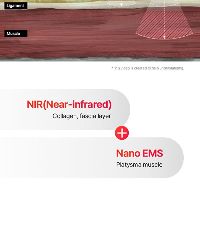 Neckcera - 1 Set