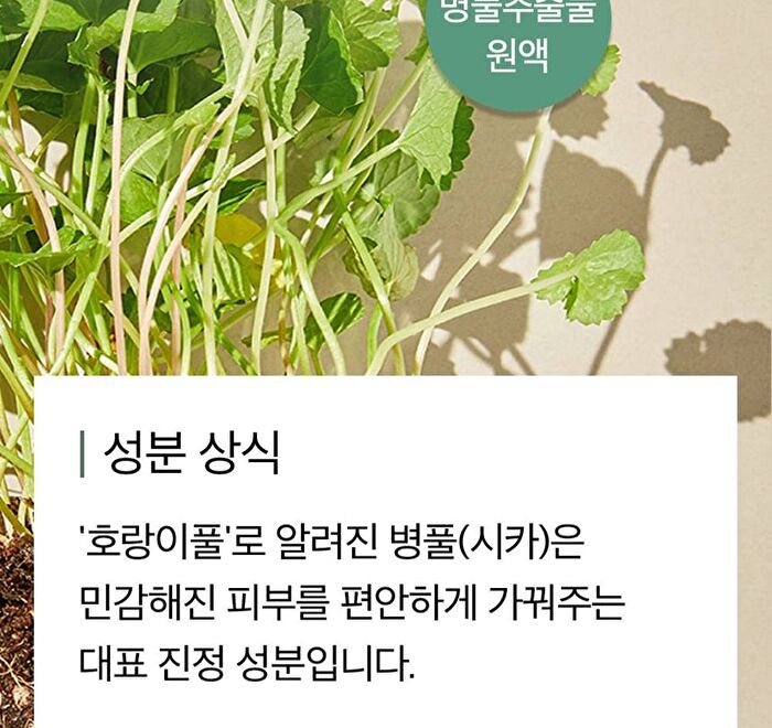 mixsoon Soondy Centella Asiatica Essence Stick Pouch Set 6pcs - 1.5ml x 6 sticks