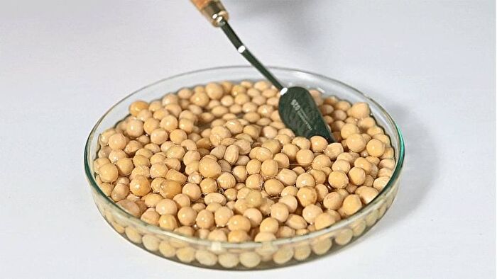 mixsoon Bean Essence Stick Pouch Set 6pcs - 1.5ml x 6 sticks