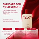 Moev Annurcatin Shampoo - 300ml
