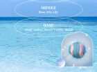 Bubble Bath Bomb - 3 Types - Moonlight Peach