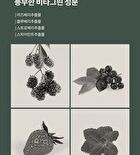 Scrub Wash - 3 Types - Lime Grape