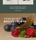 Scrub Wash - 3 Types - Lime Grape