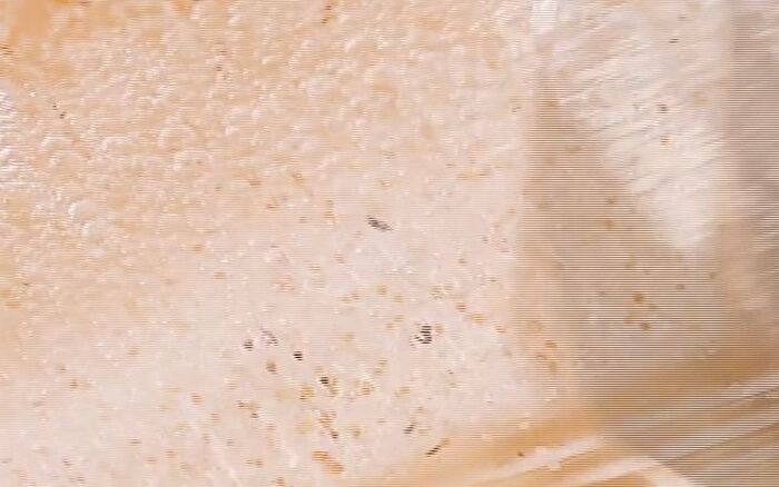 Perfumed Spa Scrub Body Wash - 3 Types - Fleur Soap