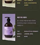 Therapy Body Wash - 3 Types - Basil Eucalyptus