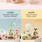 Perfumed Sugar Body Scrub - 2 Types - Fleur Soap