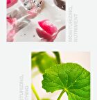 Body Scrub - 4 Types - Cotton Blossom